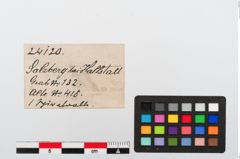 Etiketten zu Bronzespiralröhrchen (NHMW-PRAE-024120)